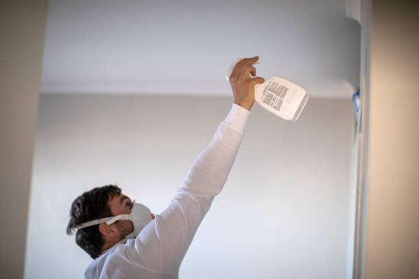 Best Local Mold Removal Service  in Cottleville, MO