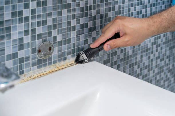 Office Mold Removal Services in Cottleville, MO