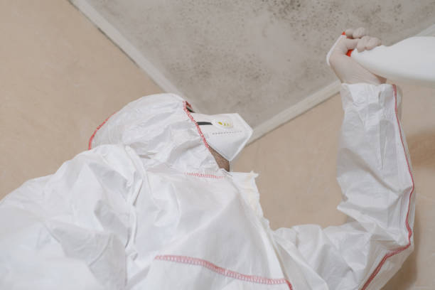 Cottleville, MO Mold Removal Company