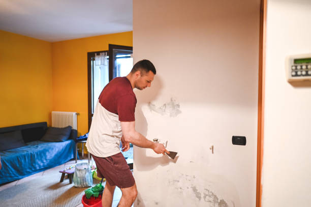 Best Residential Mold Removal  in Cottleville, MO