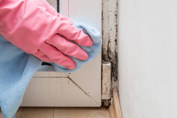 Best Crawl Space Mold Removal  in Cottleville, MO